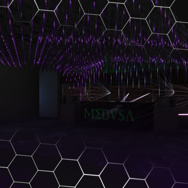 Medvsa 2 600x600