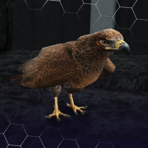 Chickenhawk ( کد محصول: 167 )