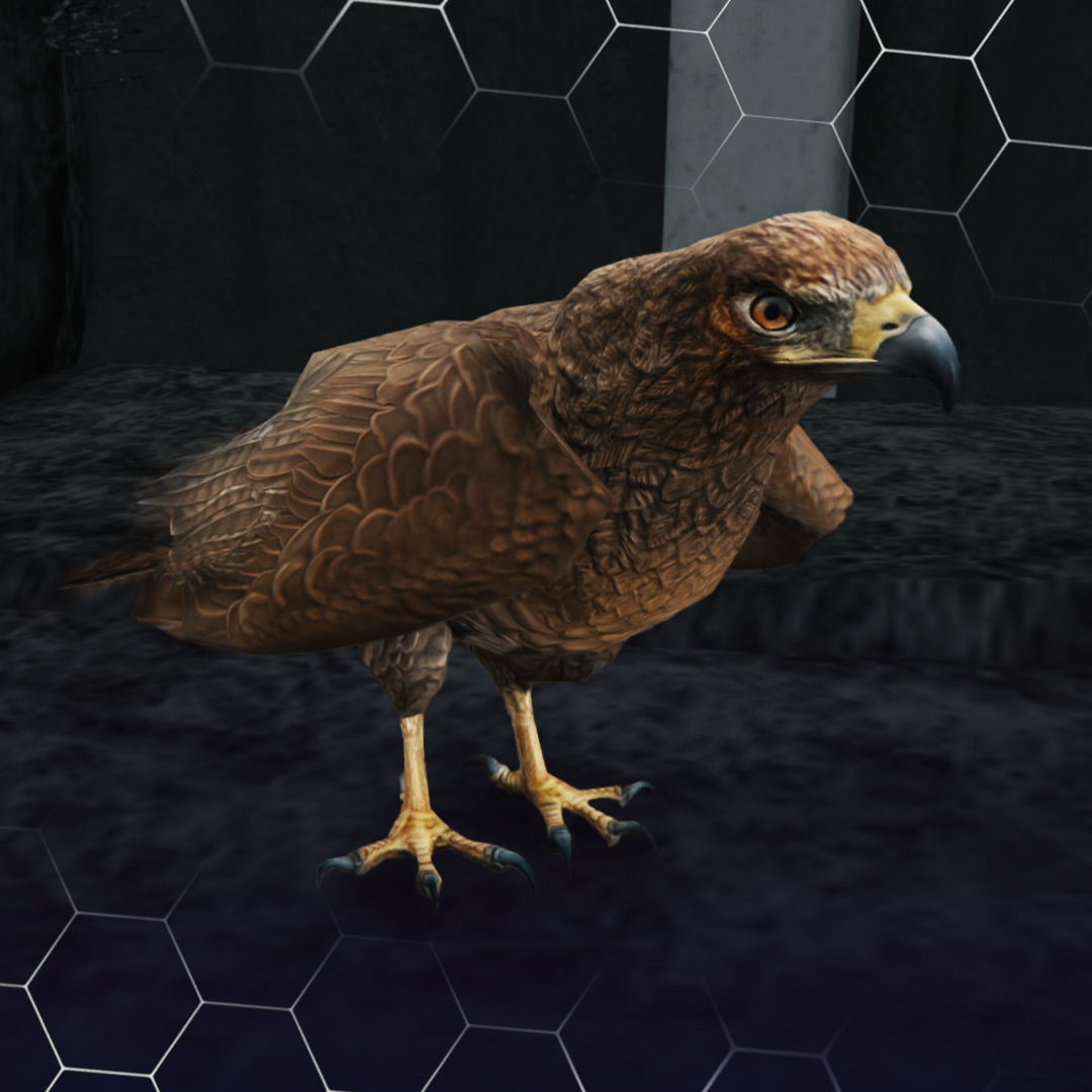 Chickenhawk ( کد محصول: 167 ) - سرور رول پلی حرفه ای VMP Chickenhawk ( کد محصول: 167 )