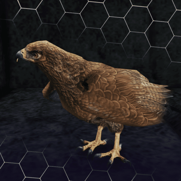 Chickenhawk 2 600x600