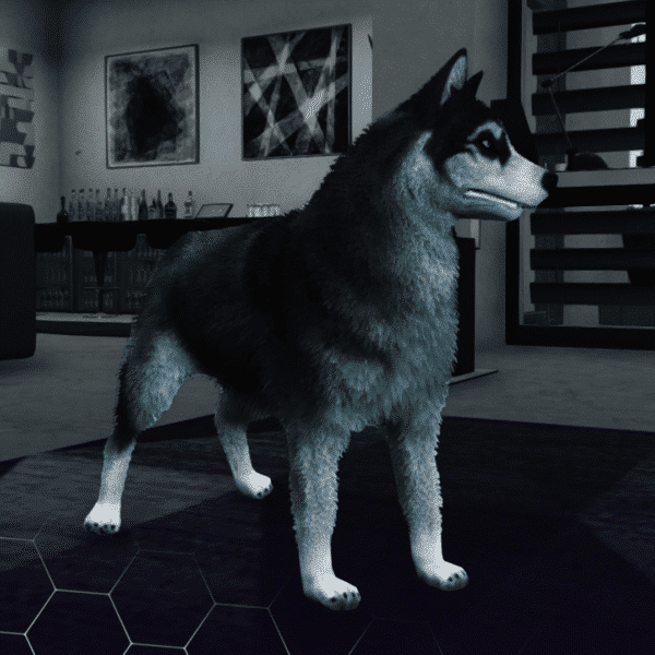 Husky ( کد محصول: 170 )