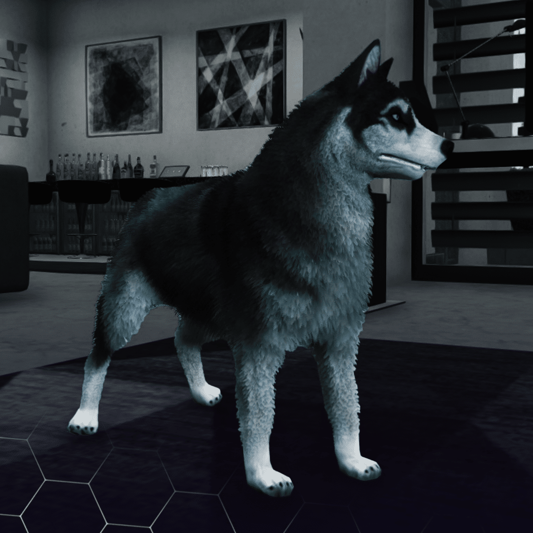 Husky ( کد محصول: 170 ) - سرور رول پلی حرفه ای VMP Husky ( کد محصول: 170 )
