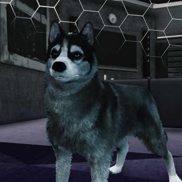Husky 2 600x600