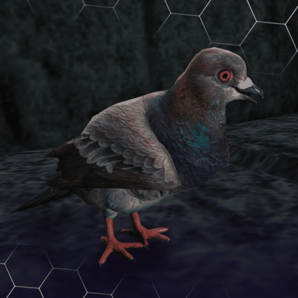 Pigeon ( کد محصول: 171 )