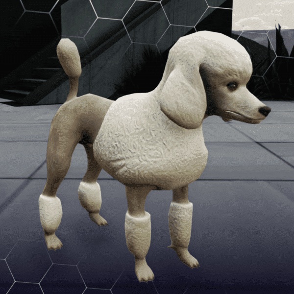 Poodle ( کد محصول: 172 )