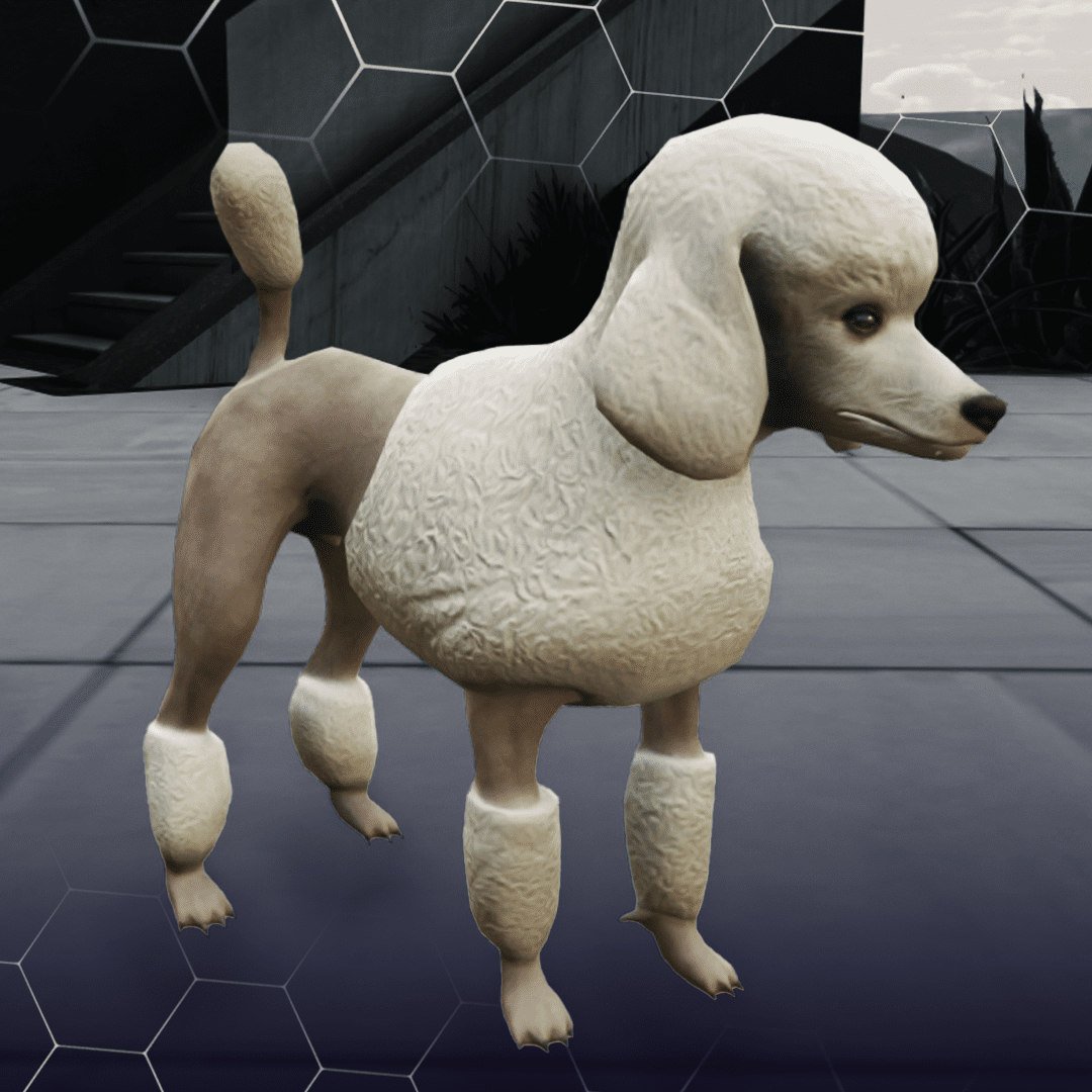 Poodle ( کد محصول: 172 ) - سرور رول پلی حرفه ای VMP Poodle ( کد محصول: 172 )