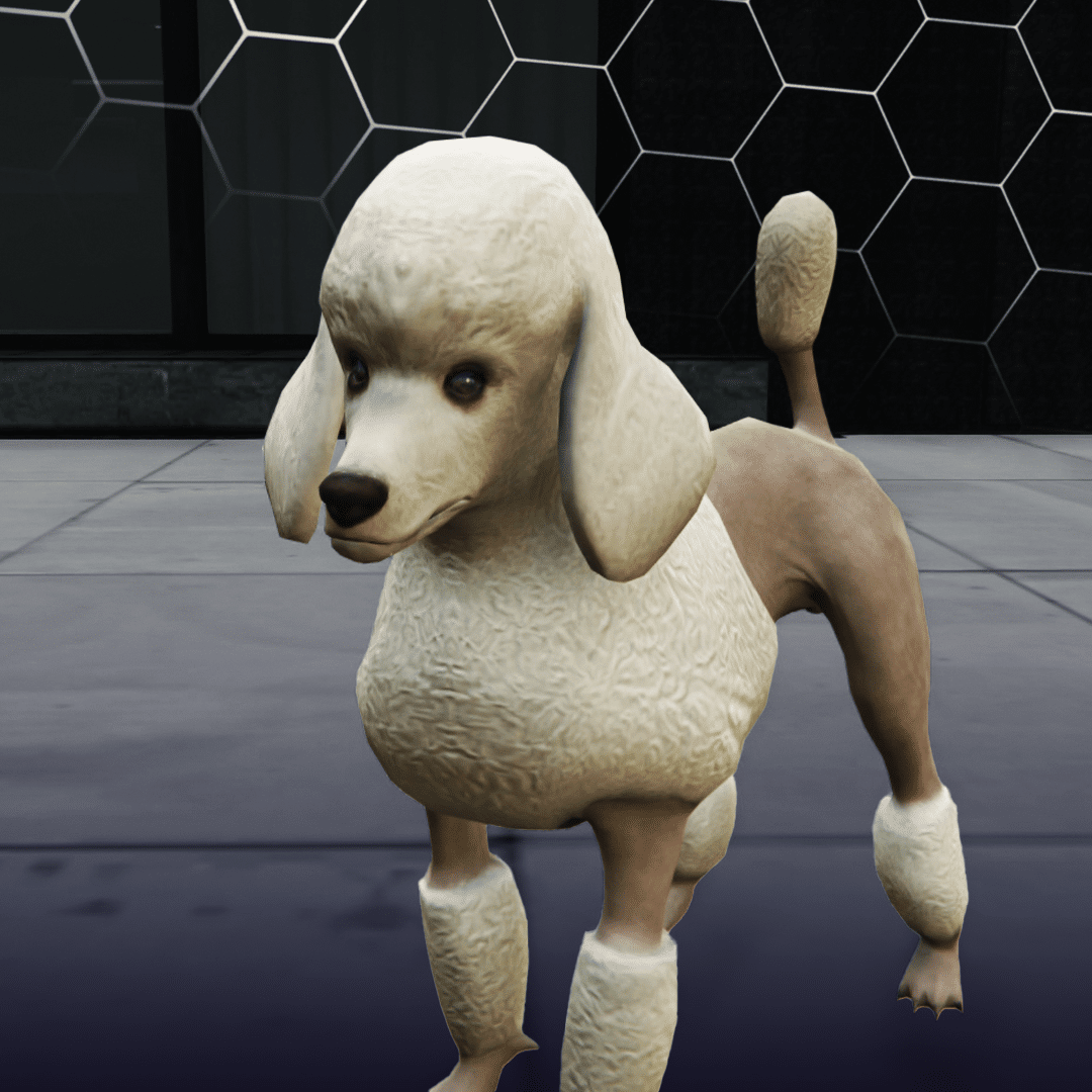 Poodle ( کد محصول: 172 ) - سرور رول پلی حرفه ای VMP Poodle ( کد محصول: 172 ) Image 2