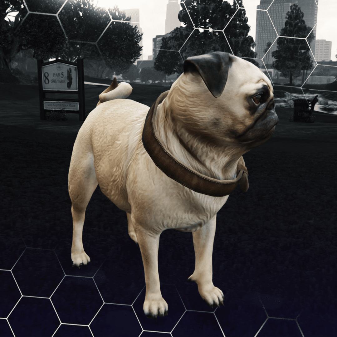 Pug ( کد محصول: 173 ) - سرور رول پلی حرفه ای VMP Pug ( کد محصول: 173 )