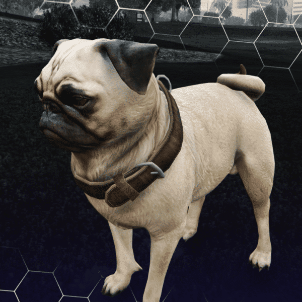 Pug 2 600x600