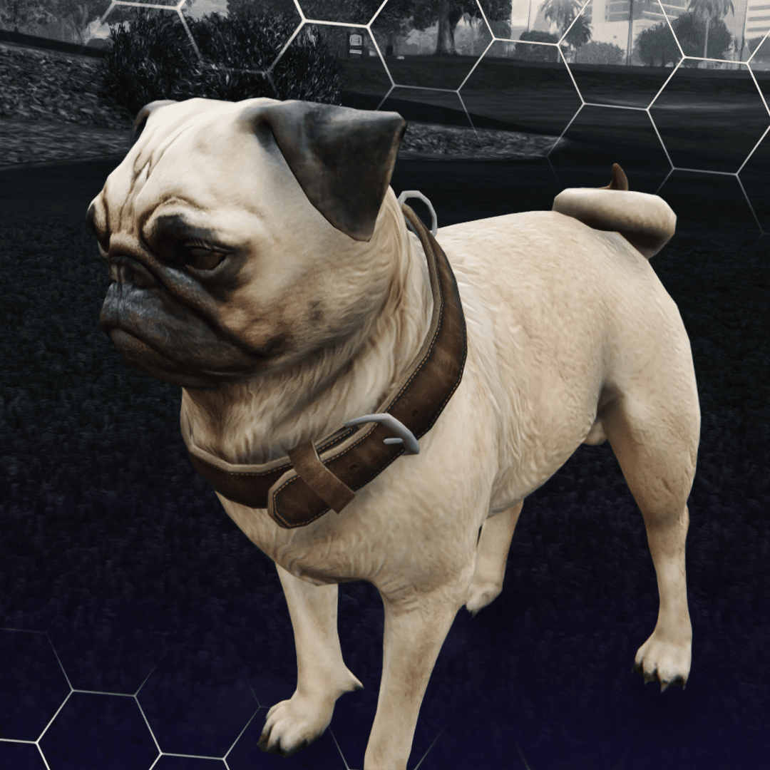 Pug ( کد محصول: 173 ) - سرور رول پلی حرفه ای VMP Pug ( کد محصول: 173 ) Image 2