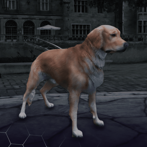 Retriever  ( کد محصول: 175 )