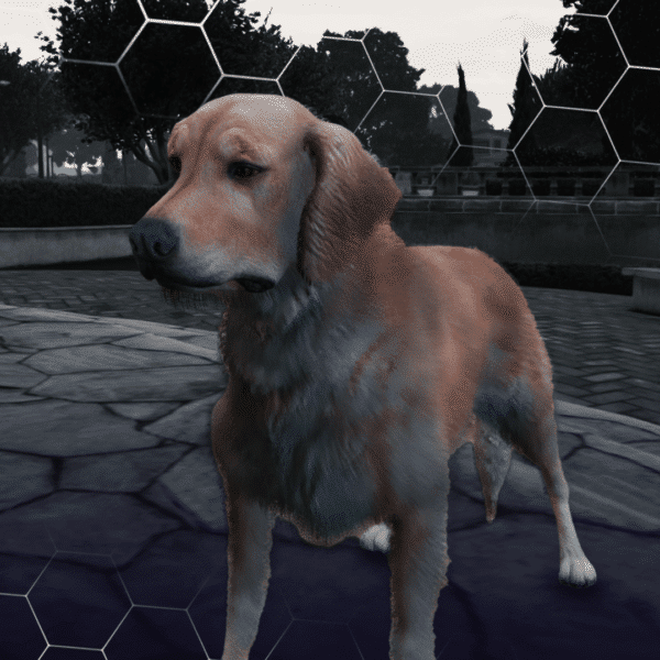 Retriever 2 600x600