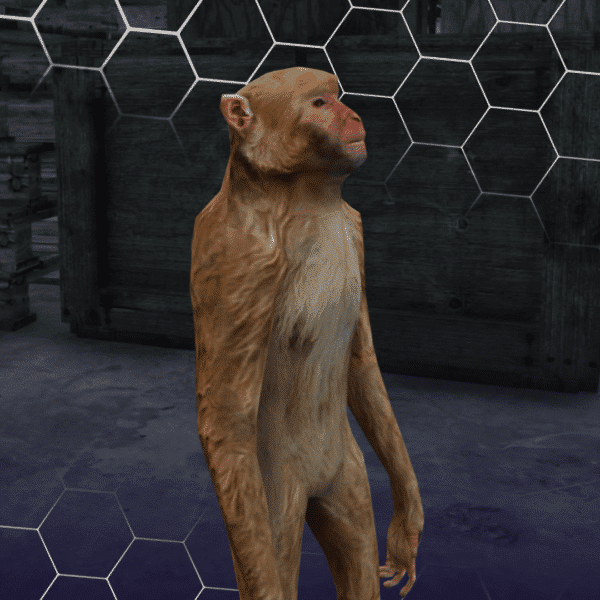 Rhesus ( کد محصول: 176 )