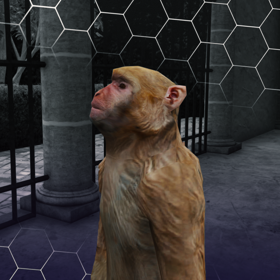 Rhesus 2