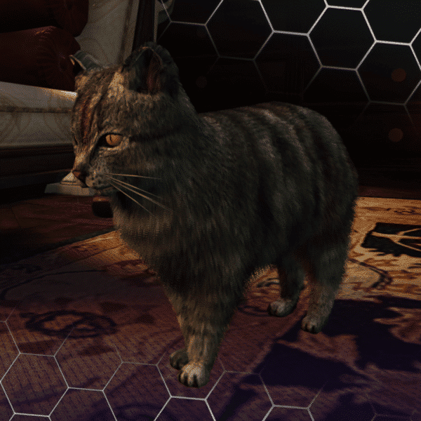 Cat ( کد محصول: 166 )