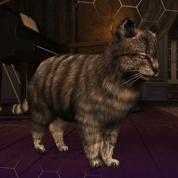Cat 2 600x600