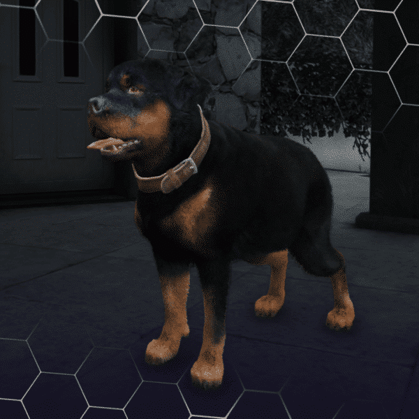 Chop 2 600x600