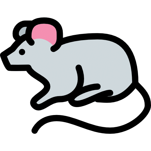 Rodent
