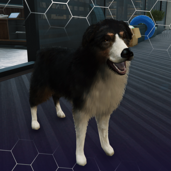 Shepherd 2 600x600